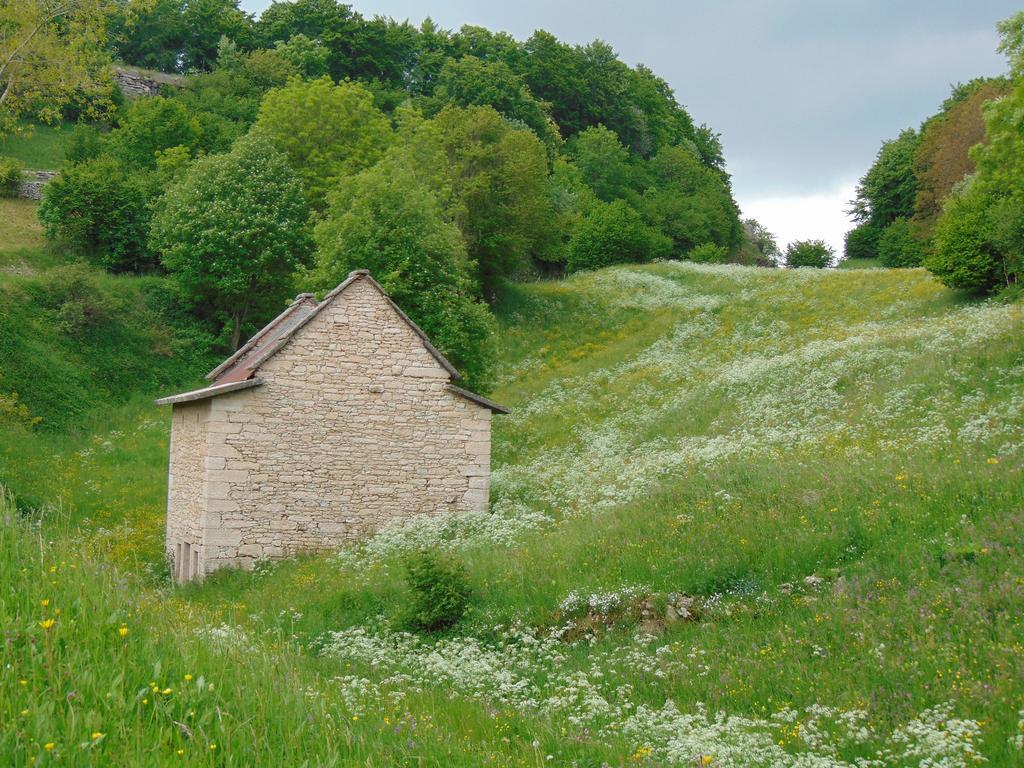 Hotel Campeggio Branchetto Bosco Chiesanuova Exteriér fotografie